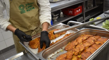 Falco in der Schulküche