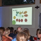 2017 Phase Null Workshop