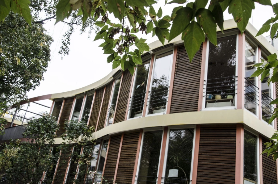 Montessori 150 mit Schülern