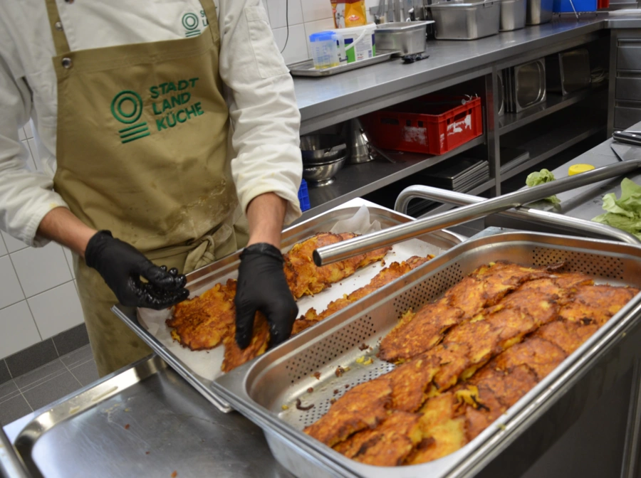 Falco in der Schulküche